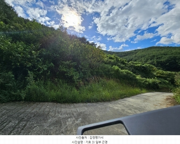 2024타경7871 경상북도 청도군 풍각면 월봉리 산214 임야 경매 이미지
