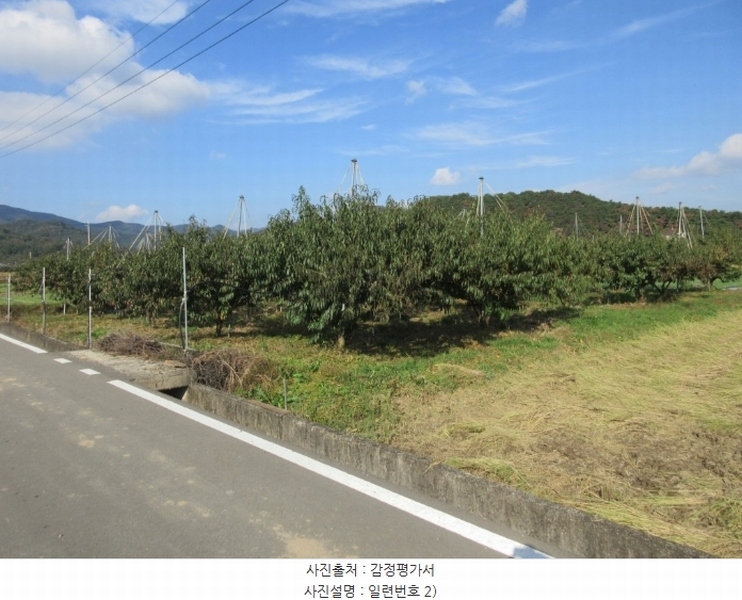 2024타경125564 경상북도 청도군 이서면 금촌리 722-1 농지 경매 이미지