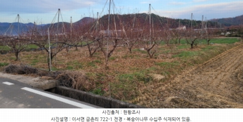 2024타경125564 경상북도 청도군 이서면 금촌리 722-1 농지 경매 이미지
