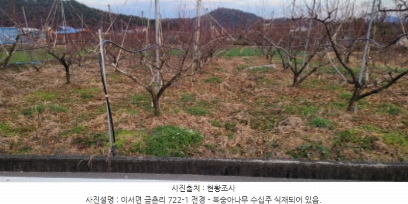 2024타경125564 경상북도 청도군 이서면 금촌리 722-1 농지 경매 이미지