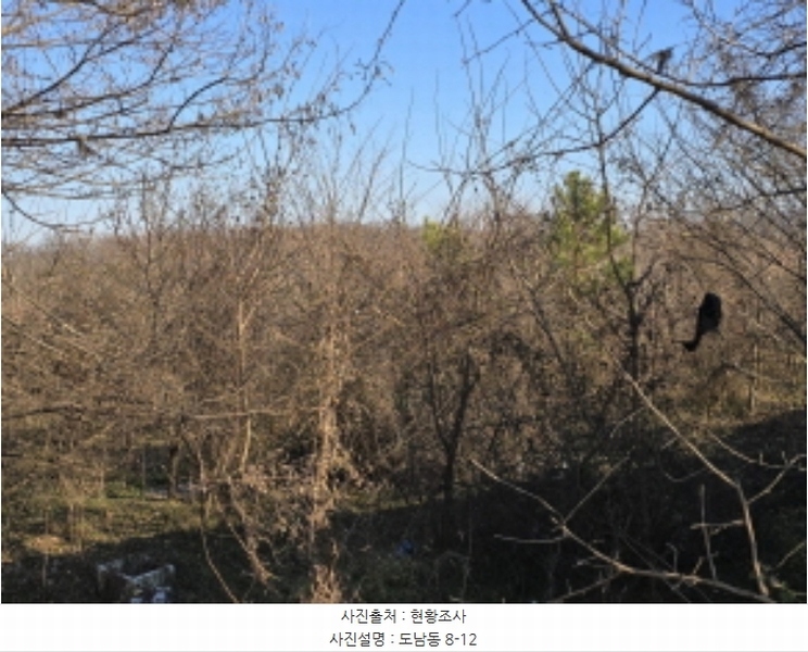 2024타경128143 경상북도 영천시 도남동 8-12 농지 경매 이미지
