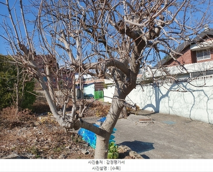 2024타경128686 경상북도 칠곡군 약목면 복성리 770 농지 경매 이미지