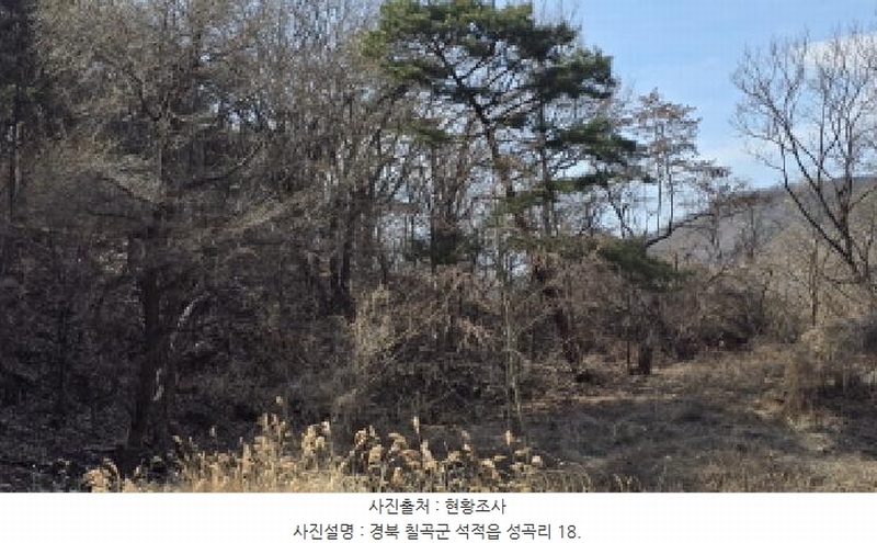 2025타경7137 경상북도 칠곡군 석적읍 성곡리 18 농지 경매 이미지
