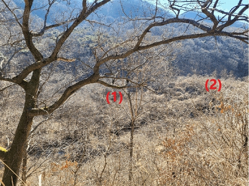 2025타경7137 경상북도 칠곡군 석적읍 성곡리 18 농지 경매 이미지