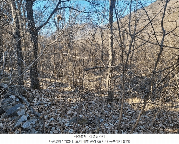 2025타경7137 경상북도 칠곡군 석적읍 성곡리 18 농지 경매 이미지