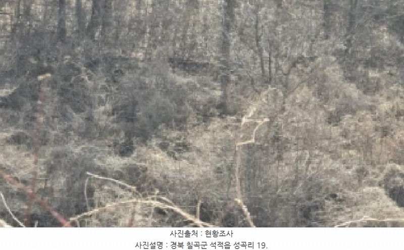 2025타경7137 경상북도 칠곡군 석적읍 성곡리 18 농지 경매 이미지