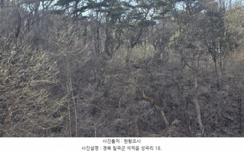 2025타경7137 경상북도 칠곡군 석적읍 성곡리 18 농지 경매 이미지