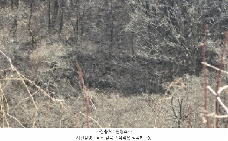 2025타경7137 경상북도 칠곡군 석적읍 성곡리 18 농지 경매 이미지