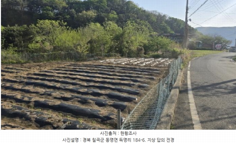 2025타경7666 경상북도 칠곡군 동명면 득명리 184-6 농지 경매 이미지