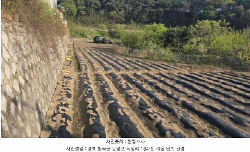 2025타경7666 경상북도 칠곡군 동명면 득명리 184-6 농지 경매 이미지