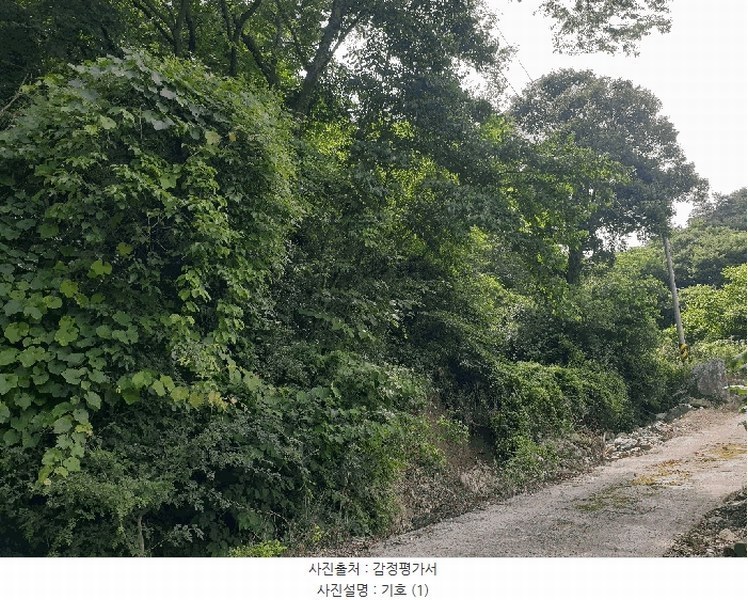 2025타경7909 경상북도 영천시 화북면 상송리 325 대지 경매 이미지