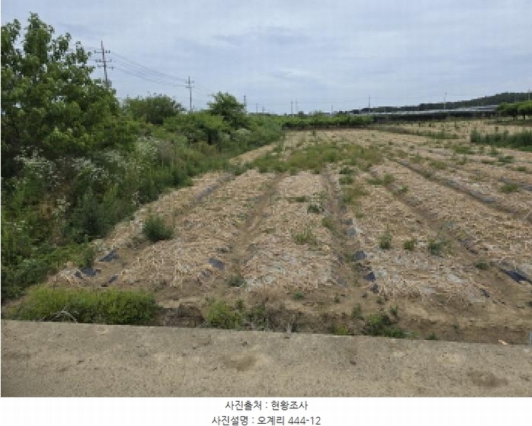2025타경7985 경상북도 영천시 금호읍 오계리 444-8 농지 경매 이미지