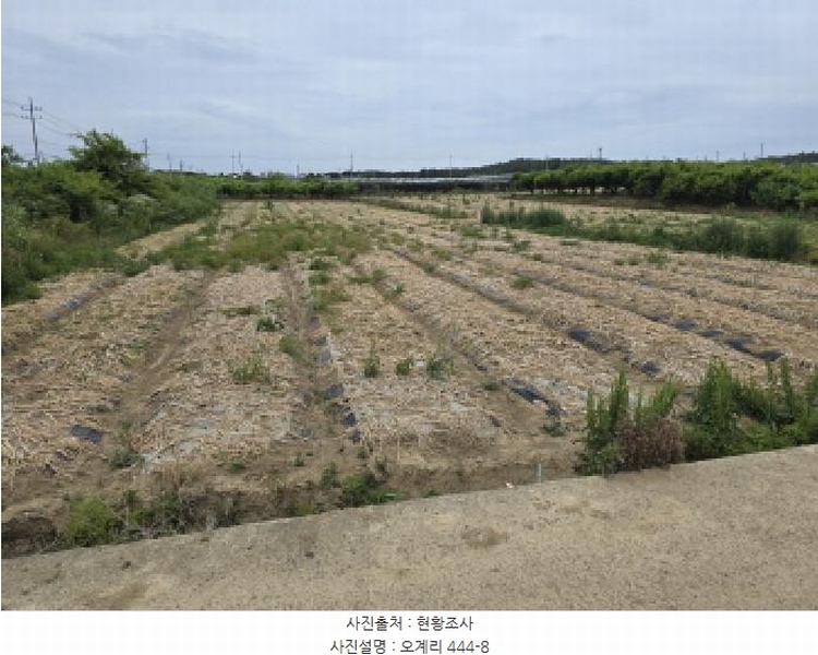 2025타경7985 경상북도 영천시 금호읍 오계리 444-8 농지 경매 이미지
