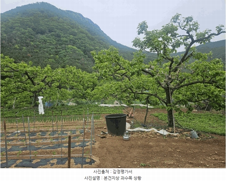 2025타경7996 경상북도 청도군 매전면 동산리 653 농지 경매 이미지