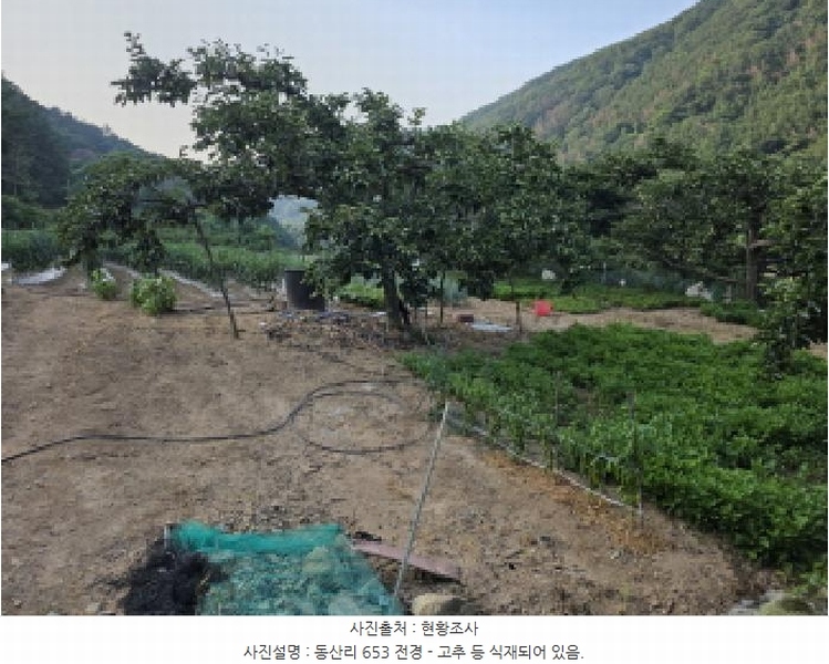 2025타경7996 경상북도 청도군 매전면 동산리 653 농지 경매 이미지