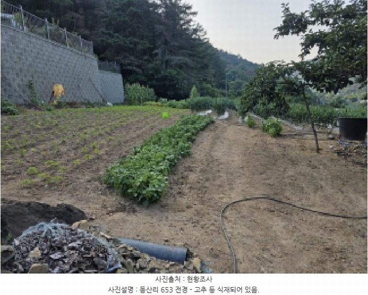2025타경7996 경상북도 청도군 매전면 동산리 653 농지 경매 이미지