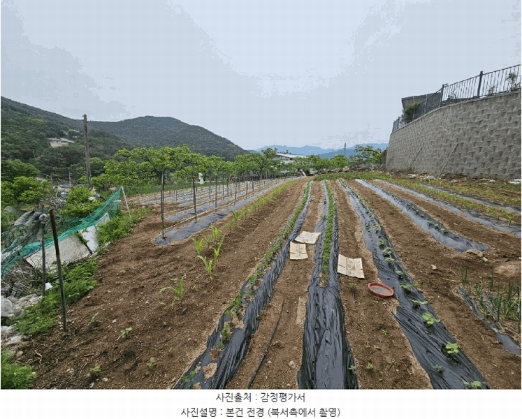 2025타경7996 경상북도 청도군 매전면 동산리 653 농지 경매 이미지