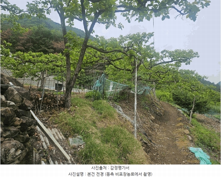 2025타경7996 경상북도 청도군 매전면 동산리 653 농지 경매 이미지