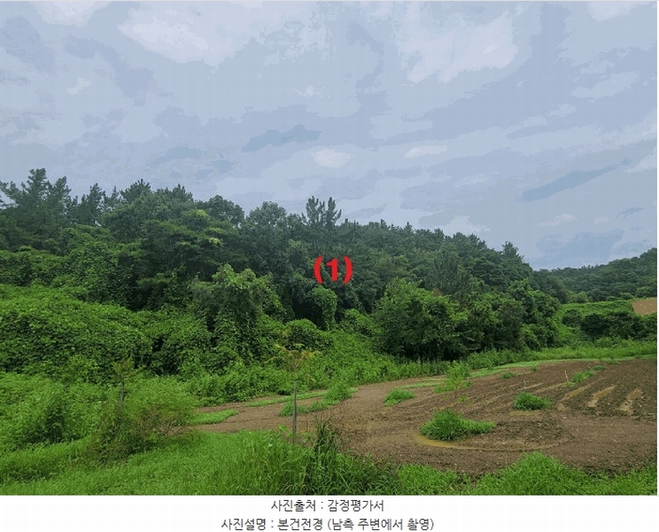 2025타경8360 경상북도 영천시 대창면 어방리 산25 임야 경매 이미지