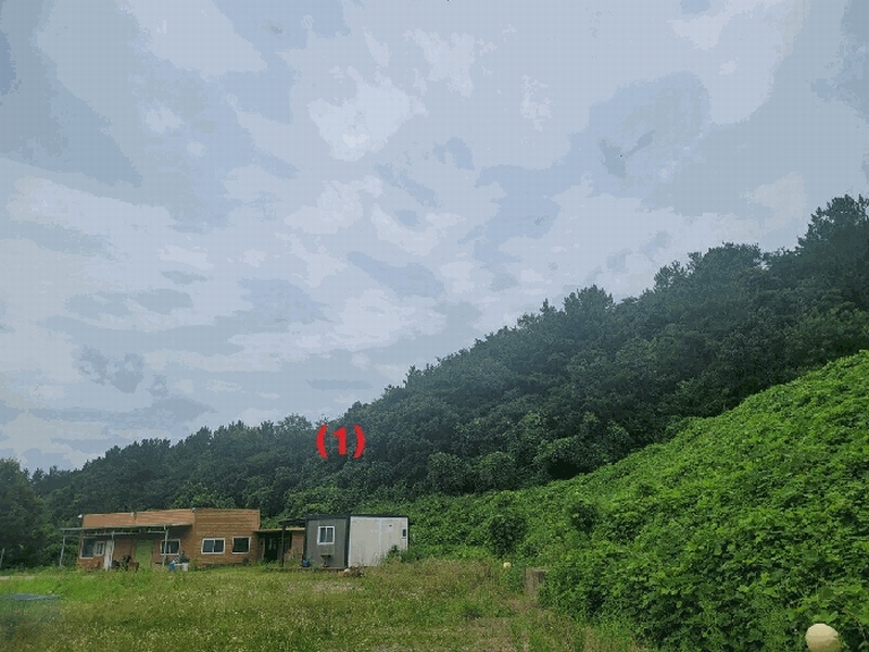 2025타경8360 경상북도 영천시 대창면 어방리 산25 임야 경매 이미지