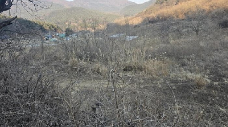 2025타경5100 경상북도 칠곡군 가산면 가산리 792 농지 경매 이미지