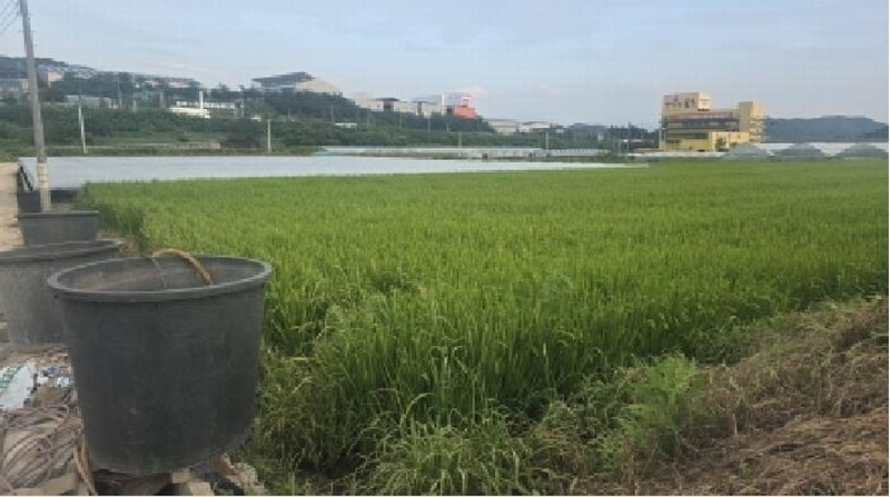 2025타경8562 경상북도 칠곡군 왜관읍 아곡리 547-1 농지 경매 이미지