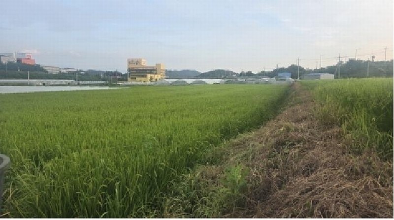 2025타경8562 경상북도 칠곡군 왜관읍 아곡리 547-1 농지 경매 이미지