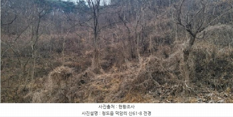 2025타경5735 경상북도 청도군 청도읍 덕암리 산59 임야 경매 이미지