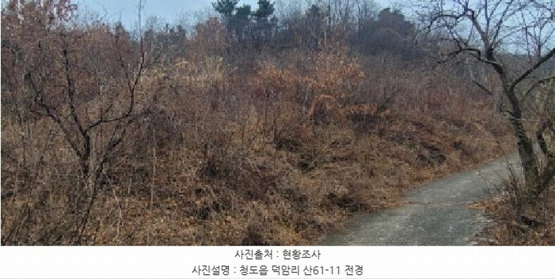 2025타경5735 경상북도 청도군 청도읍 덕암리 산59 임야 경매 이미지
