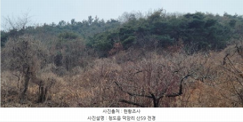 2025타경5735 경상북도 청도군 청도읍 덕암리 산59 임야 경매 이미지