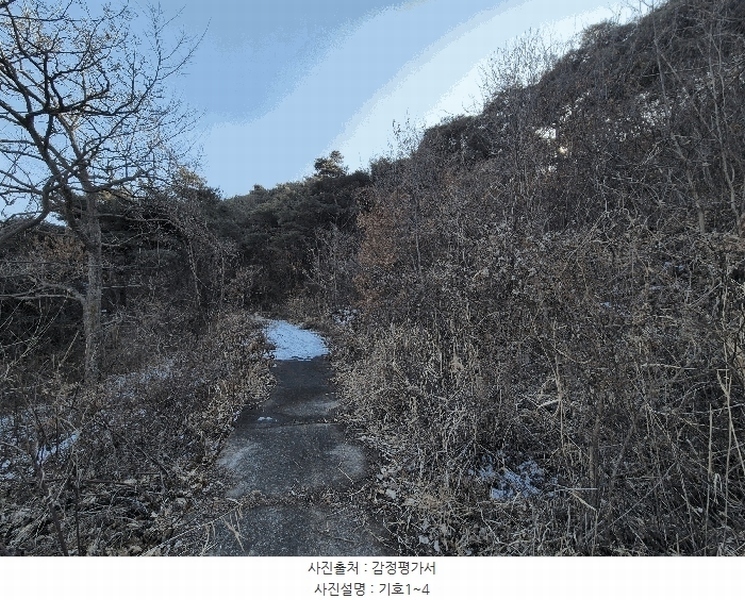 2025타경5735 경상북도 청도군 청도읍 덕암리 산59 임야 경매 이미지