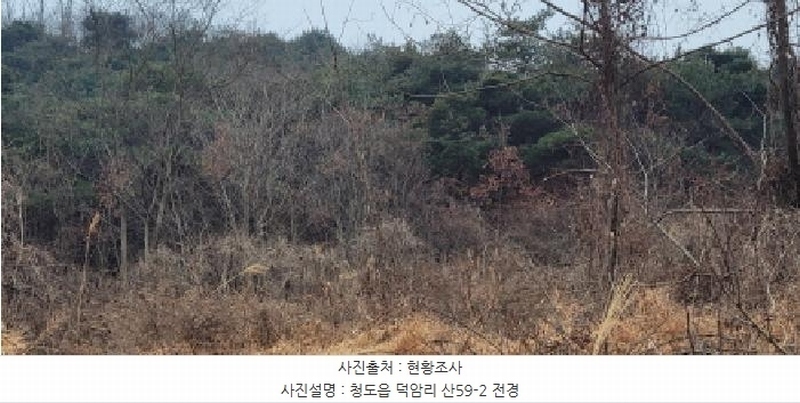 2025타경5735 경상북도 청도군 청도읍 덕암리 산59 임야 경매 이미지