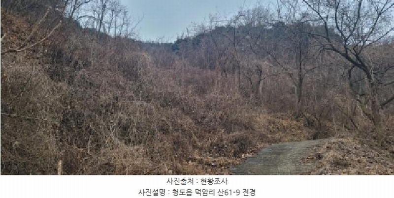 2025타경5735 경상북도 청도군 청도읍 덕암리 산59 임야 경매 이미지