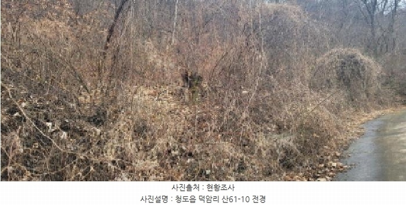 2025타경5735 경상북도 청도군 청도읍 덕암리 산59 임야 경매 이미지