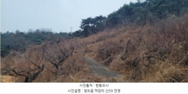 2025타경5735 경상북도 청도군 청도읍 덕암리 산59 임야 경매 이미지