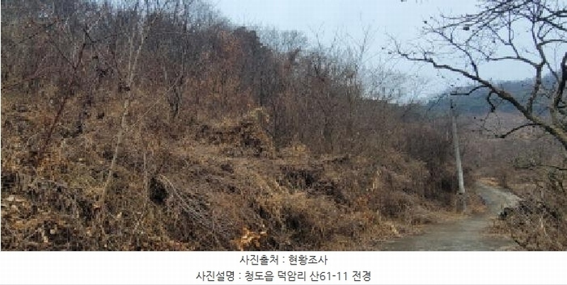 2025타경5735 경상북도 청도군 청도읍 덕암리 산59 임야 경매 이미지