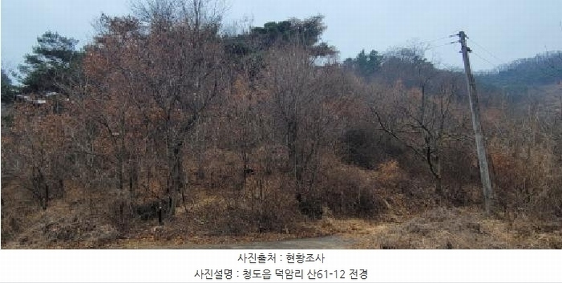 2025타경5735 경상북도 청도군 청도읍 덕암리 산59 임야 경매 이미지