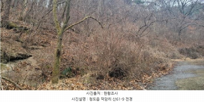 2025타경5735 경상북도 청도군 청도읍 덕암리 산59 임야 경매 이미지