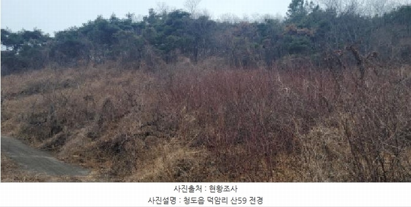 2025타경5735 경상북도 청도군 청도읍 덕암리 산59 임야 경매 이미지