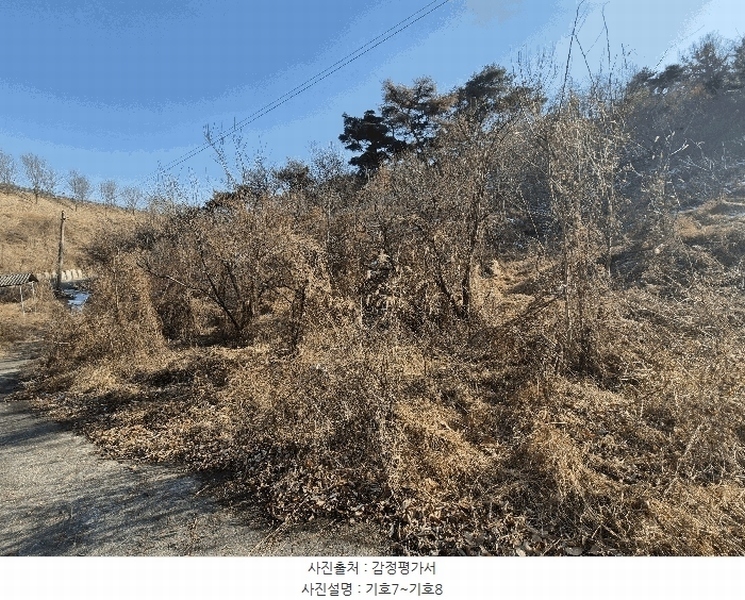2025타경5735 경상북도 청도군 청도읍 덕암리 산59 임야 경매 이미지