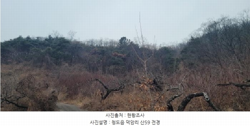 2025타경5735 경상북도 청도군 청도읍 덕암리 산59 임야 경매 이미지