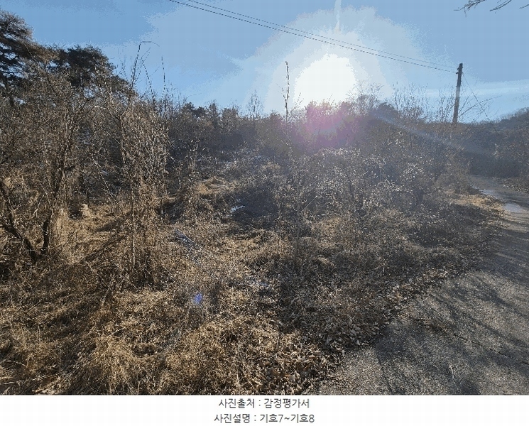 2025타경5735 경상북도 청도군 청도읍 덕암리 산59 임야 경매 이미지