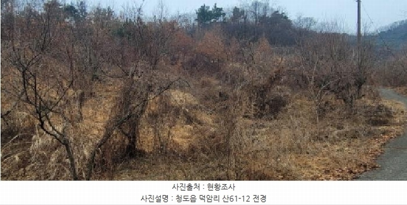 2025타경5735 경상북도 청도군 청도읍 덕암리 산59 임야 경매 이미지