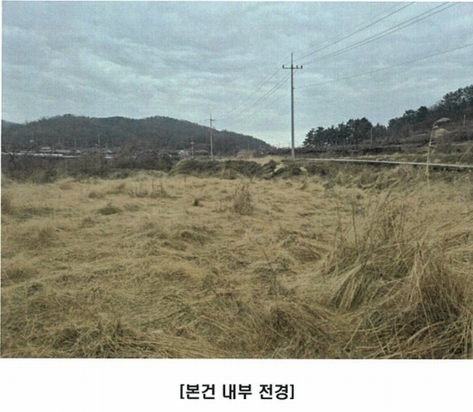 2025타경5964 경상북도 영천시 금호읍 황정리 289-2 농지 경매 이미지