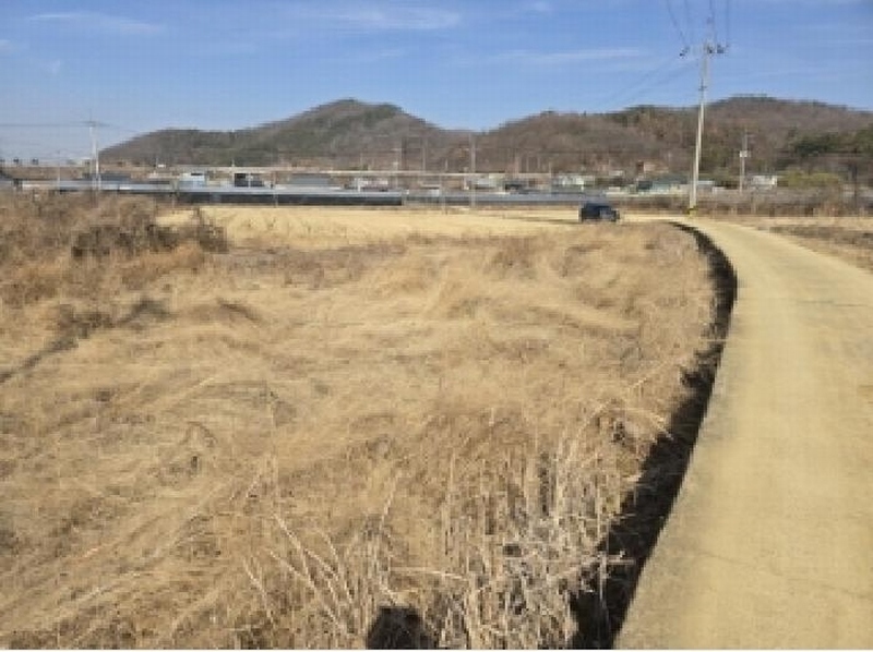 2025타경5964 경상북도 영천시 금호읍 황정리 289-2 농지 경매 이미지