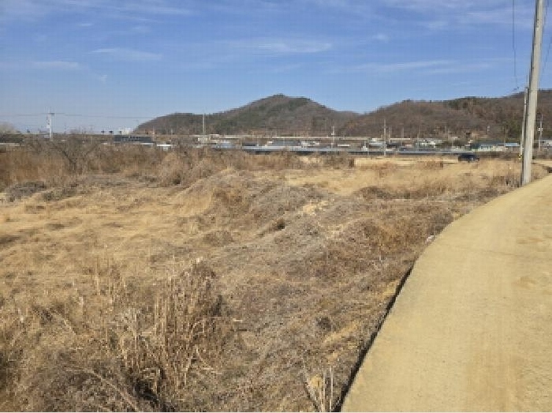 2025타경5964 경상북도 영천시 금호읍 황정리 289-2 농지 경매 이미지