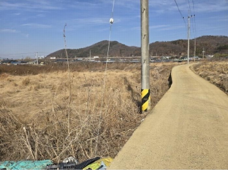 2025타경5964 경상북도 영천시 금호읍 황정리 289-2 농지 경매 이미지