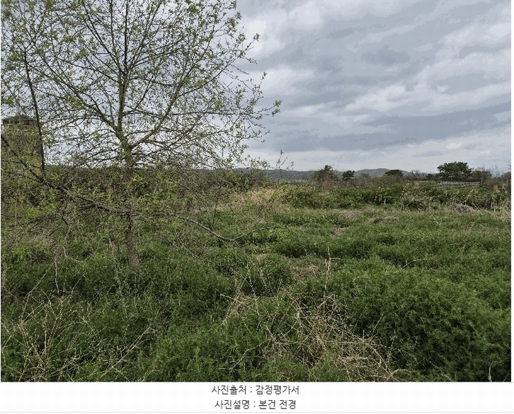 2025타경7734 경상북도 영천시 고경면 창상리 174-5 과수원 경매 이미지