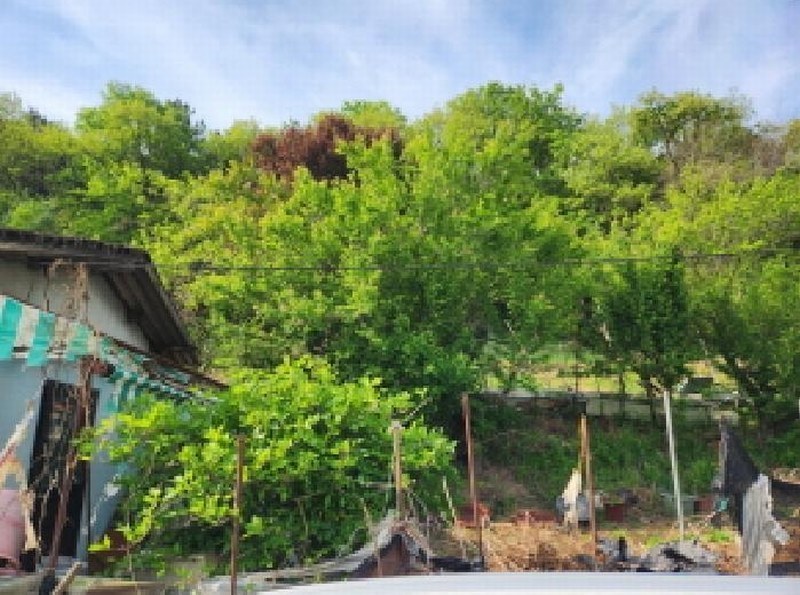 2025타경7745 대구광역시 북구 복현동 산13 임야 경매 이미지