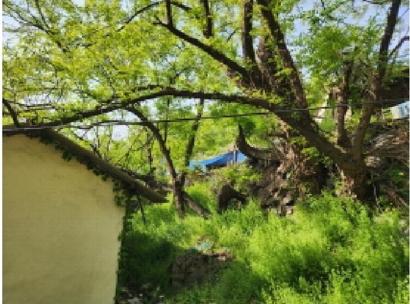 2025타경7745 대구광역시 북구 복현동 산13 임야 경매 이미지